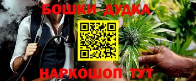 стаф Будённовск